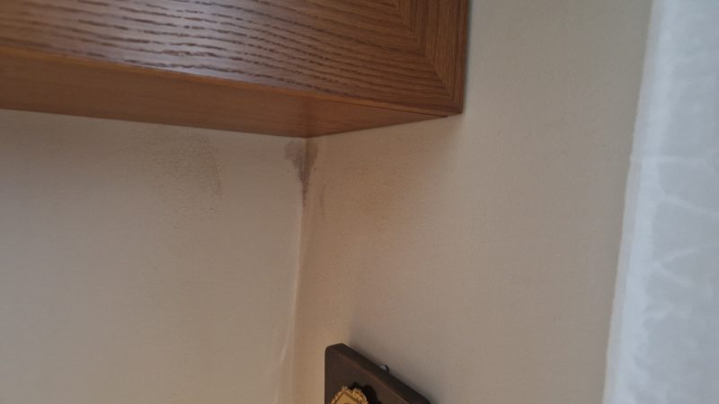 Vizesedés beltéri nyomok- penész megjelenése